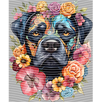 Animal Integration-DW 568